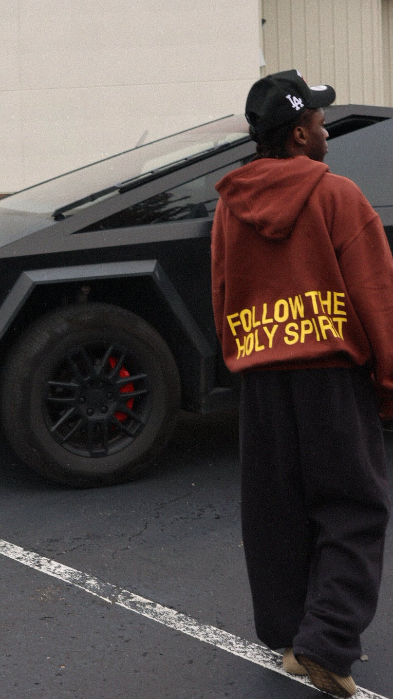 HOLY Hoodie (Brown)